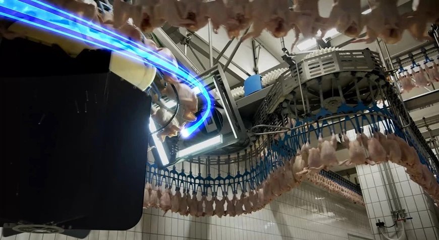The near future of poultry processing